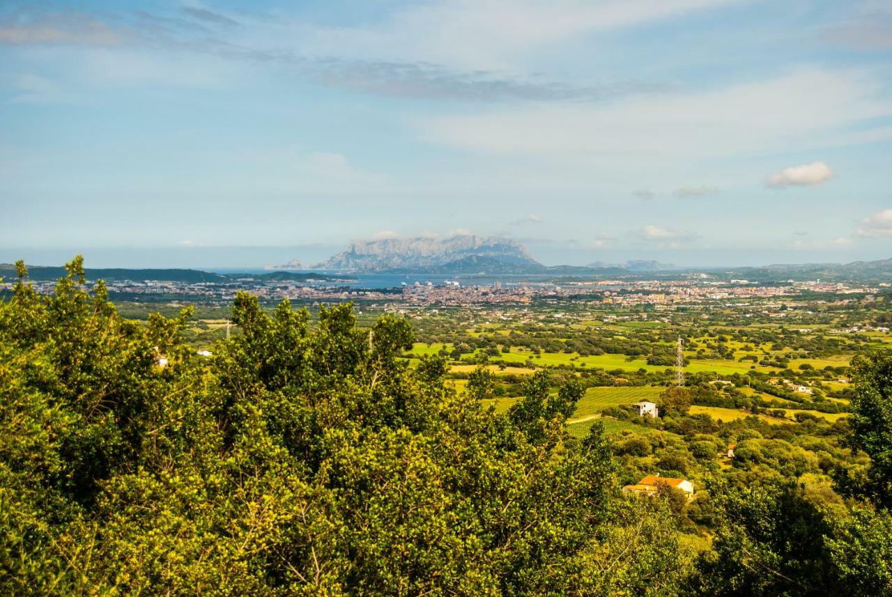 Villa Aurora Olbia Ngoại thất bức ảnh